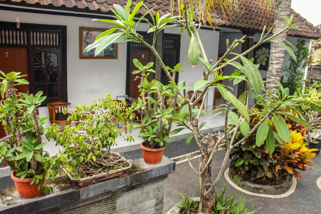 Nyoman Guesthouse Canggu Eksteriør bilde